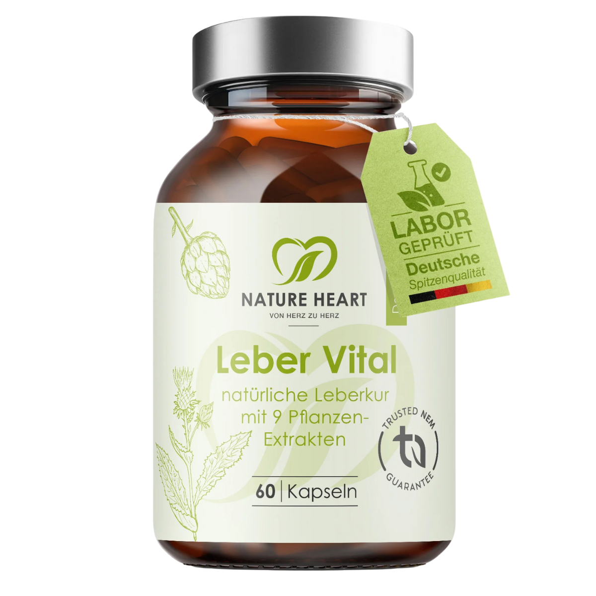 Leber Vital