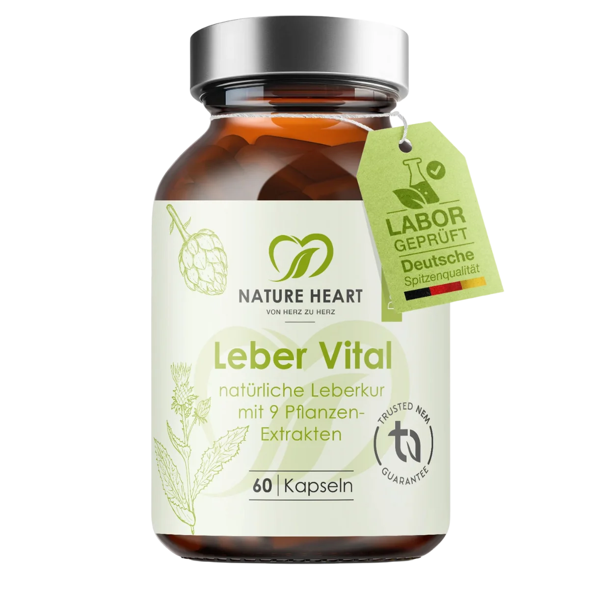 Leber Vital
