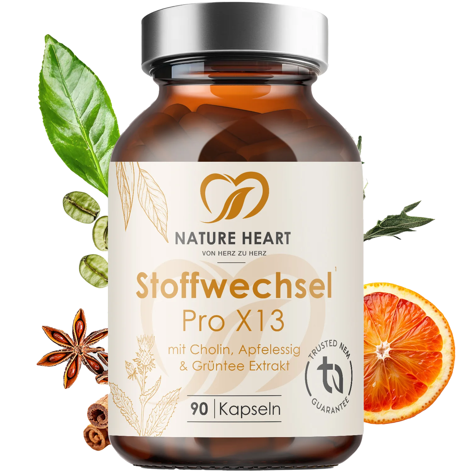 Stoffwechsel Pro X13